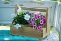 White garden bench in a summer garden Royalty Free Stock Photo