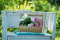 White garden bench in a summer garden Royalty Free Stock Photo