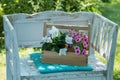 White garden bench in a summer garden Royalty Free Stock Photo