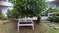 white garden chairs under shady trees