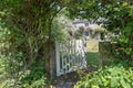 white garden gate leading into an English cottage garden Royalty Free Stock Photo