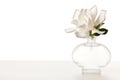 White Gardenia Blossom on Marble Table