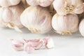 White garlic head heap and Garlic cloves