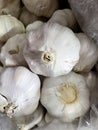 White garlic pile texture. Close Up Fresh garlic on market. Garlic for cooking ingredient picture. White garlic head heap top view