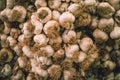 White garlic pile texture. Fresh garlic on market table closeup photo.