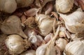 White garlic pile texture. Fresh garlic on market table closeup photo. Vitamin healthy food spices. Spicy culinary ingredient