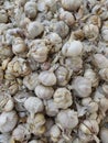 White garlic is a spice mixed with food, reducing the fishy smell well.