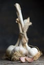 White garlic on table Royalty Free Stock Photo