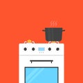 White gas stove with boiling water in pan Royalty Free Stock Photo