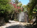 White gate, stone wall, on alley with hibiscus and palm