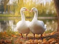 White geese Made With Generative AI illustration