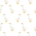 White geese seamless vector pattern.