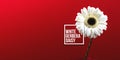 White gerbera daisy background with text sign, banner size and copy space composition, flower on a red Royalty Free Stock Photo