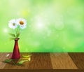 White Gerbera- Daisy flowers in red vase on Wood table top Royalty Free Stock Photo