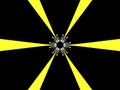White petals in two rows in the center and six trapezoidal yellow stripes on a black background