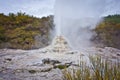 White geyser in geothermal park in New Zealand Royalty Free Stock Photo