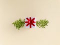 White gift box with red ribbon accompanied by arborvitae branches on beige background, horizontal. Royalty Free Stock Photo