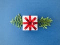 White gift box with red ribbon accompanied by arborvitae branches on blue background, horizontal. Royalty Free Stock Photo