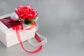 White gift box with red rose and ribbons on silver background. Christmas Holiday greeting card with copy space Royalty Free Stock Photo