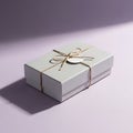 White gift box with twine bow Royalty Free Stock Photo