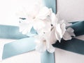 White gift box wrapped with blue ribbon and decor flowers Royalty Free Stock Photo