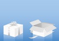 White Gift Package Wrapped Unwrapped Parcel Royalty Free Stock Photo