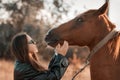 White girl in black leather jacket and glasses next to a horse and poses in the forest at sunset, like in a fairy tale Royalty Free Stock Photo
