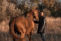 A white girl in leather jacket next to a horse and poses in the forest at sunset, like in a fairy tale. Well-groomed Royalty Free Stock Photo