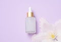 White glass bottle with pipette for cosmetics, oils and serum. Advertising and product promotion Royalty Free Stock Photo