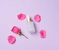 White glass bottle with pipette for cosmetics, oils and serum. Advertising and product promotion Royalty Free Stock Photo