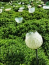 White glass flowers outdoor art installation