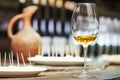 White glass of wine for tasting Royalty Free Stock Photo