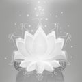 White glossy lotus on neon abstract background