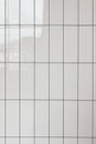 White glossy vertical ceramic rectangle tiles seamless pattern texture. Home interior Royalty Free Stock Photo