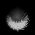 White glowing angel wings. Crystal angel wings on a black background.