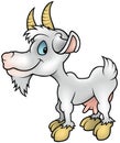 White Goat