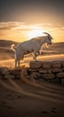 White goat on a stone wall in desert sand at sunset Royalty Free Stock Photo