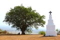 White god monument and tree on mountain peak Royalty Free Stock Photo