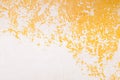 White and gold acrylic textured painting background