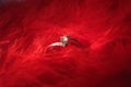 White gold diamond ring on red feathers.