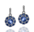 White gold earrings with blue sapphires and white diamonds Royalty Free Stock Photo