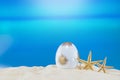 White gold egg with starfish on sandy beach of sea or ocean. Holiday postcard in sunny country Royalty Free Stock Photo