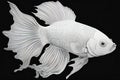 White gold fish isolated on black background Royalty Free Stock Photo