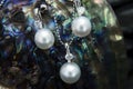 White gold pendant and earrings with south sea pearls and diamonds on Rainbow Lip Pearl Oyster (Pteria sterna) Royalty Free Stock Photo