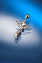 White gold piercing set by diamonds Royalty Free Stock Photo