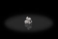 White gold precious ring female in shape flower with diamonds on black background. Royalty Free Stock Photo