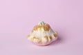 White and gold pumpkin - Halloween decoration on pink background. Thanksgiving composition on Modern autumn styled. Trendy holiday