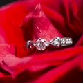 white gold ring with diamonds in red rose petals Royalty Free Stock Photo