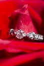 white gold ring with diamonds in red rose petals Royalty Free Stock Photo