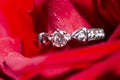 white gold ring with diamonds in red rose petals Royalty Free Stock Photo
